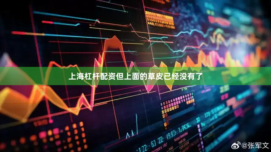 上海杠杆配资但上面的草皮已经没有了