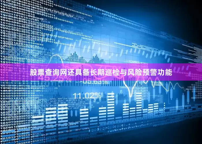 股票查询网还具备长期巡检与风险预警功能