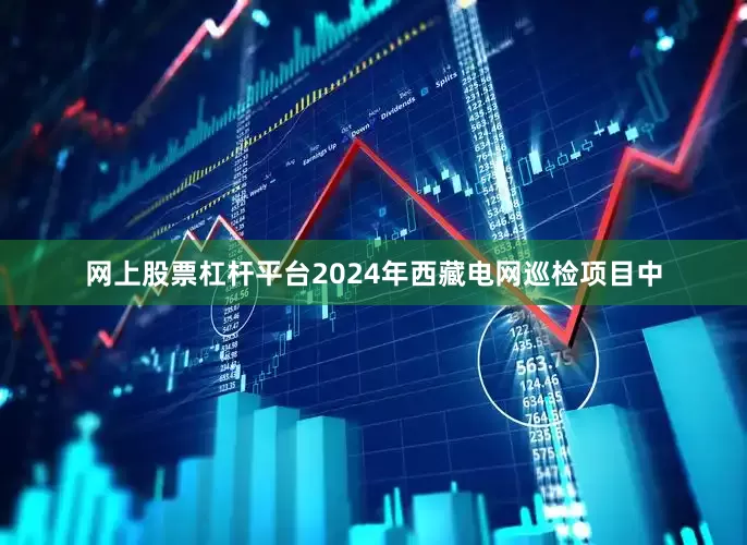 网上股票杠杆平台2024年西藏电网巡检项目中