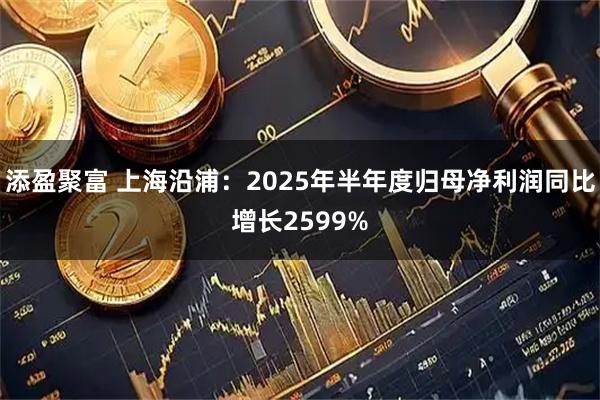 添盈聚富 上海沿浦：2025年半年度归母净利润同比增长2599%