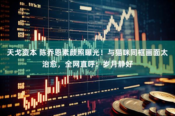 天戈资本 陈乔恩素颜照曝光！与猫咪同框画面太治愈，全网直呼：岁月静好