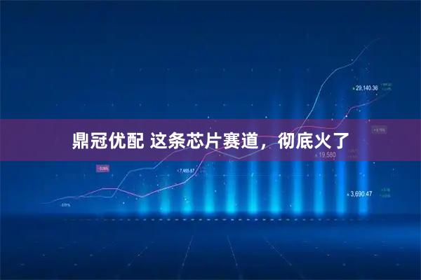 鼎冠优配 这条芯片赛道，彻底火了